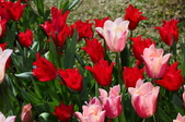 Enlarge photo 103