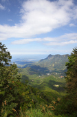 Enlarge photo 108