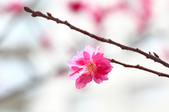 Enlarge photo 26