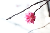 Enlarge photo 28