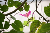 Enlarge photo 37