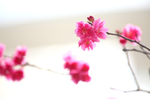 Enlarge photo 38