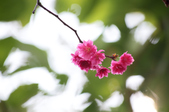 Enlarge photo 40