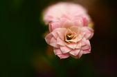 Enlarge photo 46