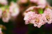 Enlarge photo 48