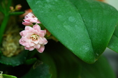 Enlarge photo 53