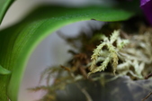Enlarge photo 54