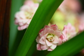 Enlarge photo 55