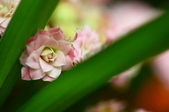 Enlarge photo 56