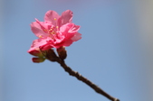 Enlarge photo 59