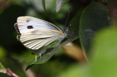 Enlarge photo 72