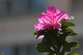 Enlarge photo 89