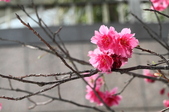 Enlarge photo 91