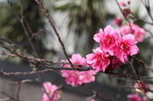 Enlarge photo 94