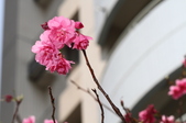 Enlarge photo 95