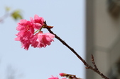 Enlarge photo 96
