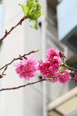 Enlarge photo 116