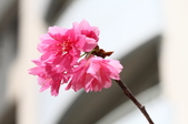 Enlarge photo 119