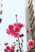 Enlarge photo 120