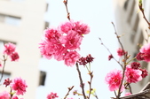Enlarge photo 121