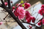 Enlarge photo 123
