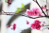 Enlarge photo 124