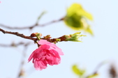 Enlarge photo 132