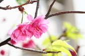 Enlarge photo 134
