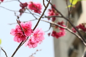 Enlarge photo 113