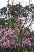 Enlarge photo 35