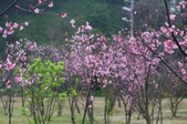 Enlarge photo 36