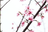 Enlarge photo 39