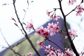 Enlarge photo 41