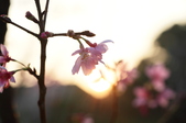 Enlarge photo 56