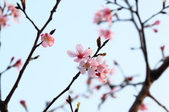 Enlarge photo 59