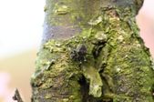 Enlarge photo 62