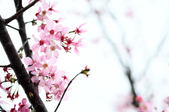 Enlarge photo 92