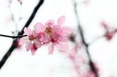 Enlarge photo 121