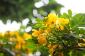 Enlarge photo 11