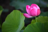Enlarge photo 3