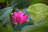 Enlarge photo 24