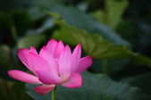 Enlarge photo 26