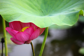 Enlarge photo 31