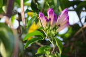 Enlarge photo 36