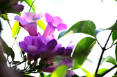 Enlarge photo 37