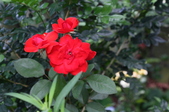 Enlarge photo 25