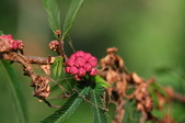 Enlarge photo 38