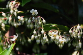 Enlarge photo 40