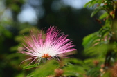 Enlarge photo 41