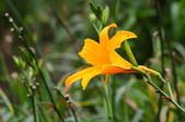 Enlarge photo 53